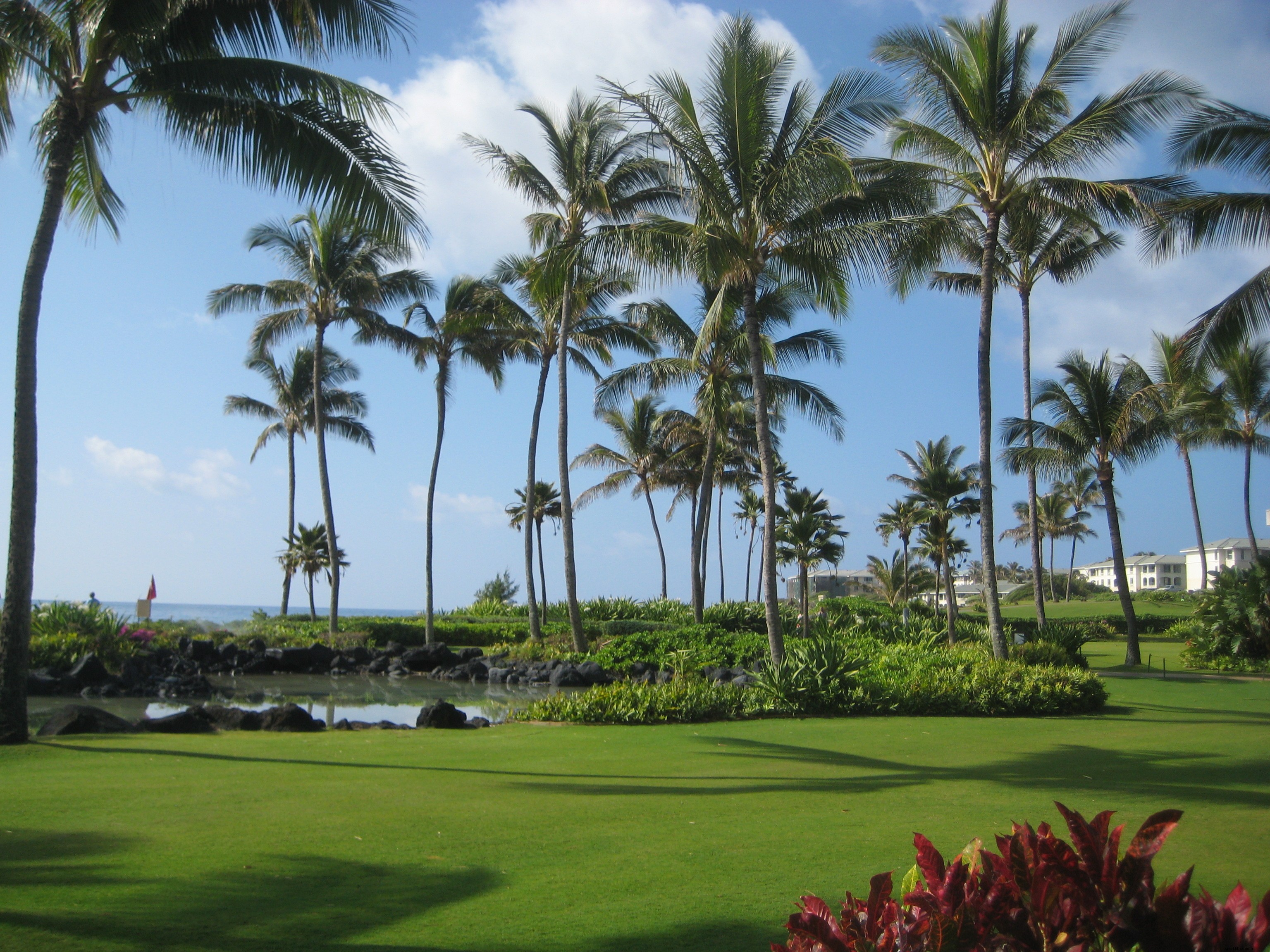 Enamorarse de nuevo ... de Kauai 